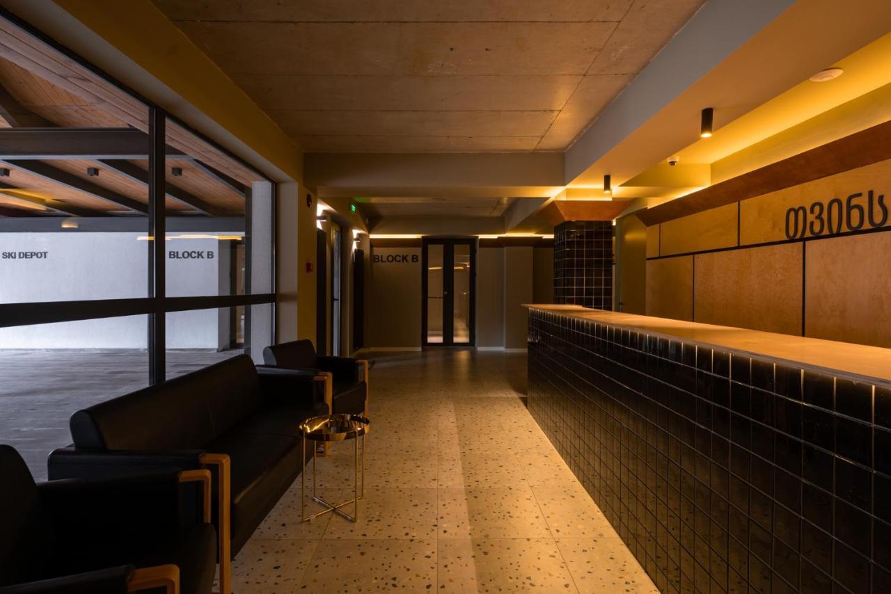 Gudauri Ski Resort - Twins Apartments エクステリア 写真